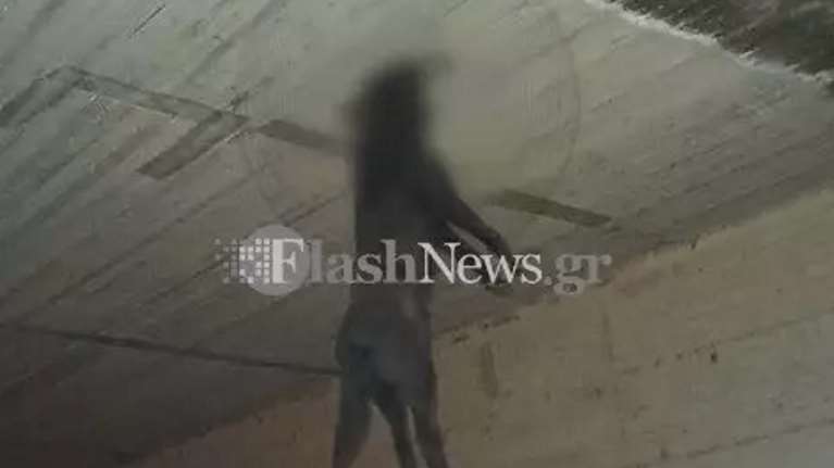 Χανιά: Οι κάμερες έλυσαν το γρίφο της αδιανόητης κτηνωδίας -  Ένας 30χρονος κρέμασε τον σκύλο σε γέφυρα