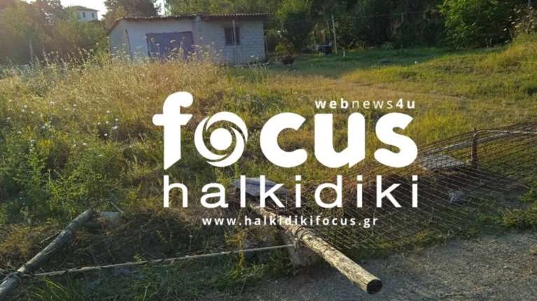 Χαλκιδική: 70χρονος πυροβόλησε με καραμπίνα τρία παιδιά γιατί τον... ενοχλούσαν