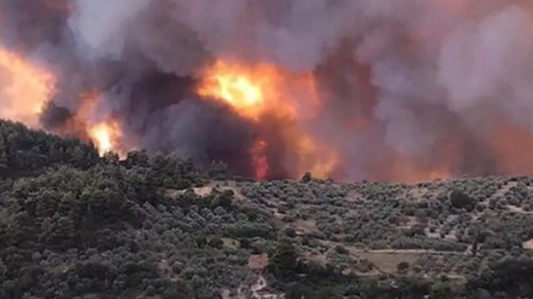 Φωτιά στην Εύβοια: Καίγονται σπίτια, εκκενώθηκαν 12 χωριά, απειλείται μοναστήρι - Μοναχοί αρνούνται να το εγκαταλείψουν