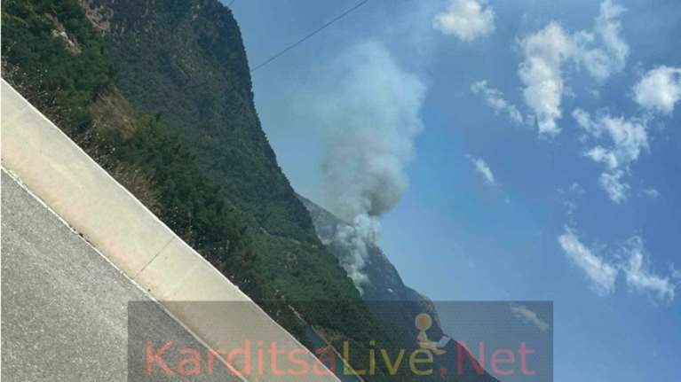 Φωτιά σε δασική έκταση στην Καρδίτσα - Στη μάχη έξι εναέρια μέσα