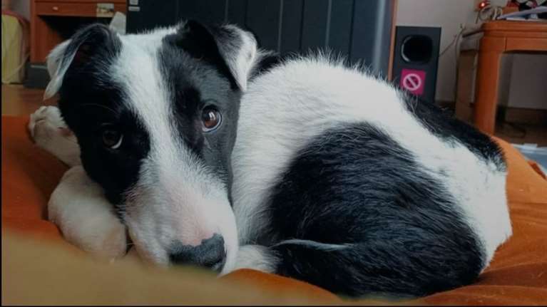 Η Ντέπυ κάθε μέρα κοιτάζει γύρω της, ελπίζοντας πως κάποιος θα την αγαπήσει