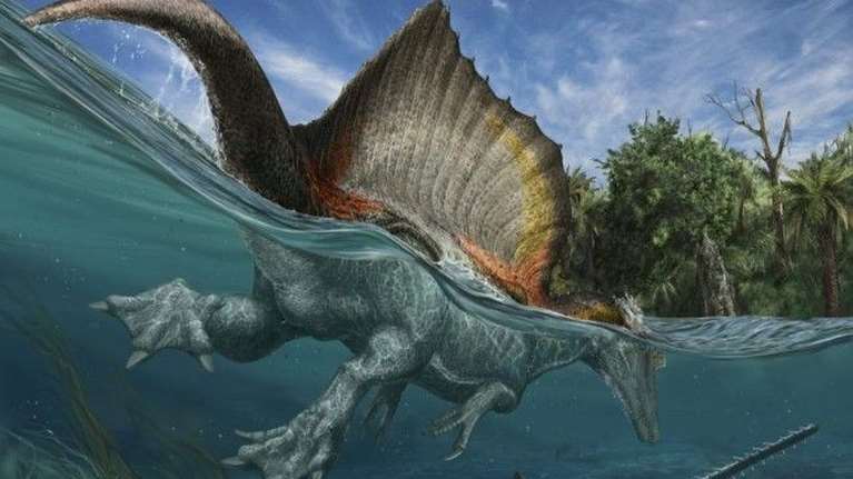 Και όμως: Δεινόσαυροι κολυμπούσαν σε ποτάμια της Αφρικής