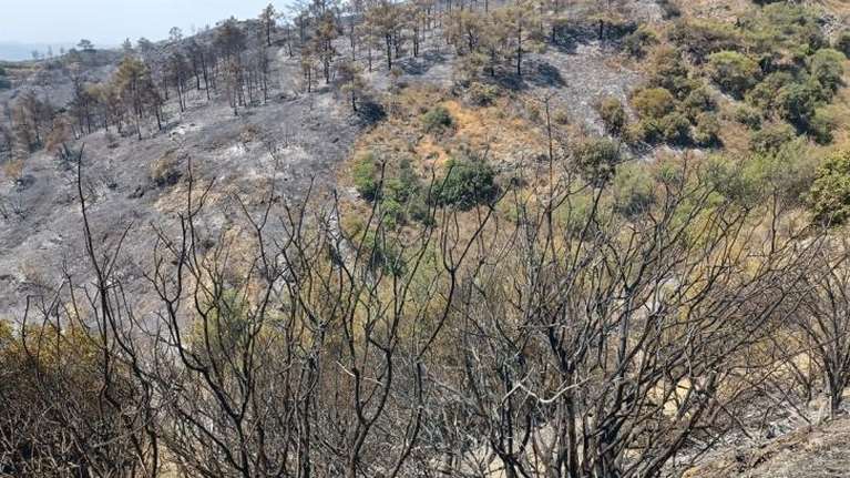 Υπό έλεγχο τέθηκε η πυρκαγιά στα Στύρα - Σε ύφεση στη Νικήτη Χαλκιδικής και στη Νέα Ζίχνη