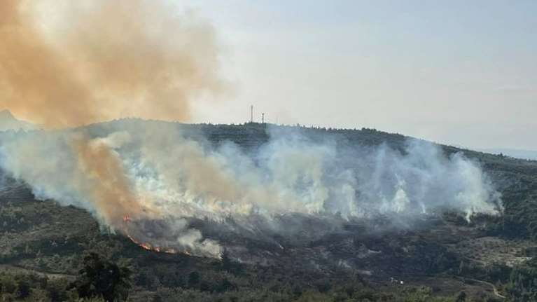 Συναγερμός στην Πυροσβεστική λόγω πυρκαγιάς στον Κάλαμο - Δεν κινδυνεύουν σπίτια