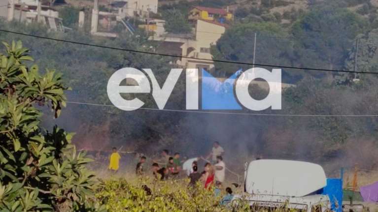 Φωτιά στην Χαλκίδα: Κοντά σε σπίτια οι φλόγες - Οι πρώτες εικόνες