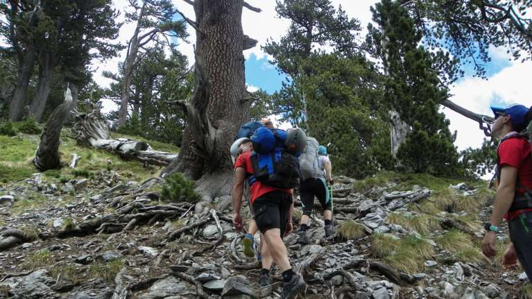Γερμανός ορειβάτης έχασε τη ζωή του στον Όλυμπο - Επιχείρηση για τον εντοπισμό γυναίκας που έχει τραυματιστεί
