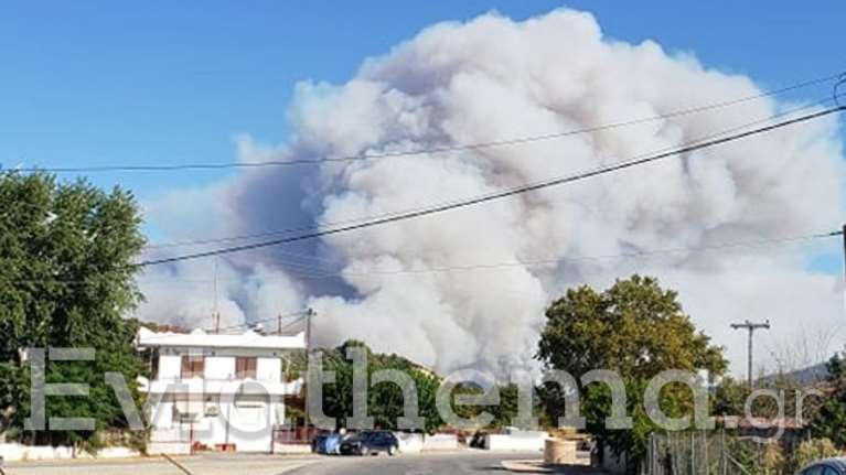 Φωτιά στην Εύβοια: Πύρινη κόλαση στα Βασιλικά - Οι φλόγες έχουν μπει στον οικισμό -Εκκενώνονται και άλλα χωριά