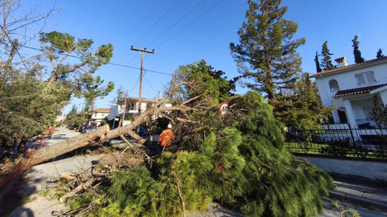 Χαμός στη Θεσσαλονίκη: Πτώσεις δεκάδων δέντρων και πινακίδων - Βίντεο καταγράφει τη θεομηνία στον Θερμαϊκό
