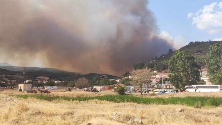 Πύργος: Πυρκαγιά σε δύσβατο σημείο στη Λάσδικα Αρχαίας Ολυμπίας