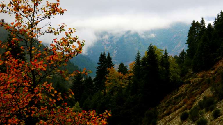 Κορονοϊός: Στα ύψη η θετικότητα σε Ευρυτανία με 5,03% και Κάρπαθο με 4,69%  - Ποιο νησί δεν είχε κανένα κρούσμα