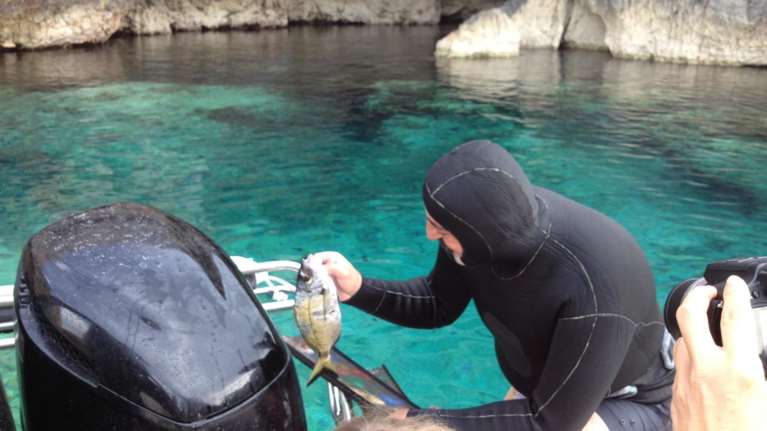 Νέα απάντηση Πολάκη σε Αχτσιόγλου: "Δεν τσιμπάω, ματαιοπονείς" - "Γεια σου Παυλάρα με τους σαργούς σου", γράφουν οι φαν του