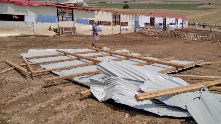 Η κακοκαιρία &quot;χτύπησε&quot; τη Λάρισα: Έπεσαν σκεπές από στάνες - Ζημιές σε καλλιέργειες [Εικόνες]