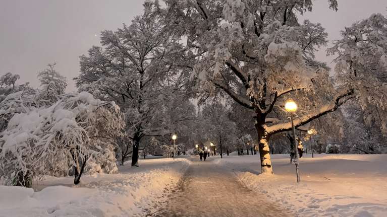 Γερμανία: Τέσσερις νεκροί από την κακοκαιρία, ανάμεσά τους ένας 10χρονος - Προβλήματα στο αεροδρόμιο του Μονάχου