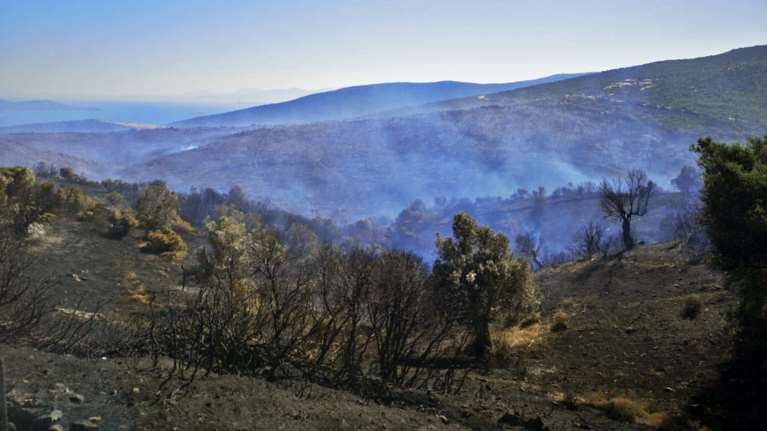 Εύβοια: Οριοθετήθηκε η φωτιά στους Ραπταίους - Σε επαγρύπνηση η πυροσβεστική