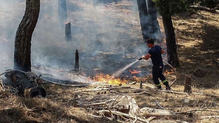 Σβήστηκε άμεσα η φωτιά σε δασική έκταση κοντά στο Τατόι