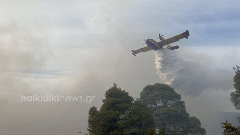 Φωτιά στη Σιθωνία Χαλκιδικής: Ενισχύθηκαν οι δυνάμεις της Πυροσβεστικής - &quot;Διώξανε τους εποχικούς&quot; είπε οργισμένος ο δήμαρχος