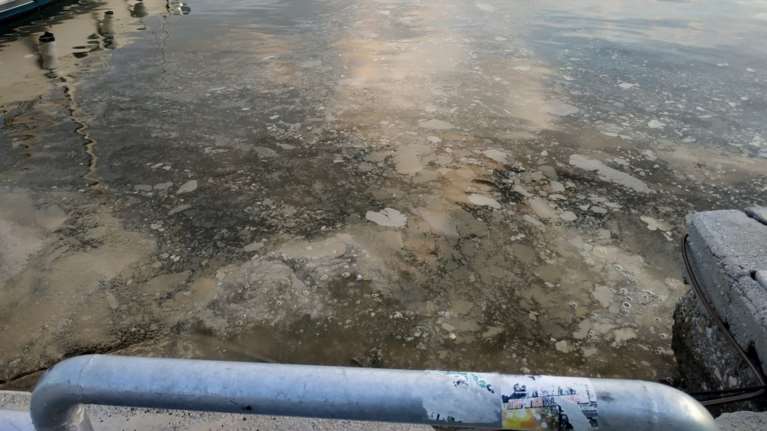 Βόλος: Αφόρητη δυσοσμία και λύματα στο λιμάνι - Πήραν δείγματα για αναλύσεις [εικόνες]