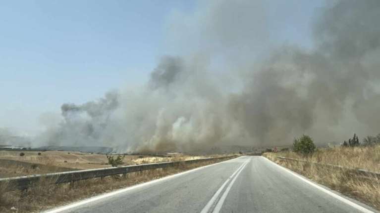 Μεγάλη φωτιά στο Βελεστίνο: Συναγερμός για τις κτηνοτροφικές μονάδες της περιοχής