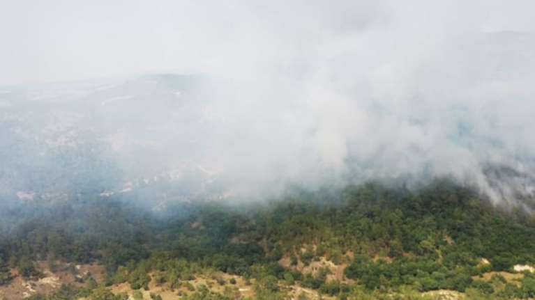 Φωτιά στο δάσος της Δαδιάς: Νύχτα θρίλερ με συνεχείς αναζωπυρώσεις - Συγκλονιστικές εικόνες από τα ελικόπτερα