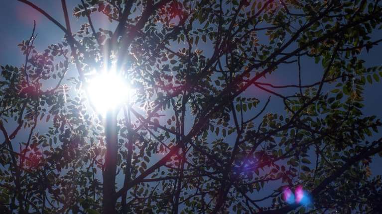 Καιρός: Ανεβαίνει ξανά η θερμοκρασία - Σε ποιες περιοχές θα φτάσει τους 32 βαθμούς