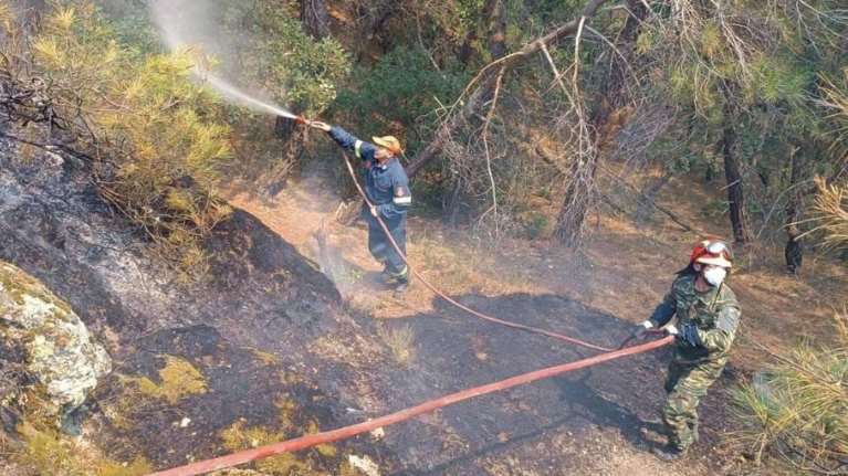 Φωτιά στη Δαδιά: Οι φλόγες κινούνται προς παρθένο δάσος - Δύσκολη η προσέγγιση, απότομες οι αλλαγές των ανέμων [εικόνες]