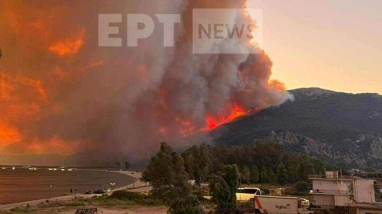 Ανεξέλεγκτη η φωτιά στη Ζάκυνθο: Καίει κοντά σε σπίτια, μηνύματα από το 112 - Πύρινα μέτωπα σε Αχαΐα, Βόνιτσα, Άρτα και Πρέβεζα