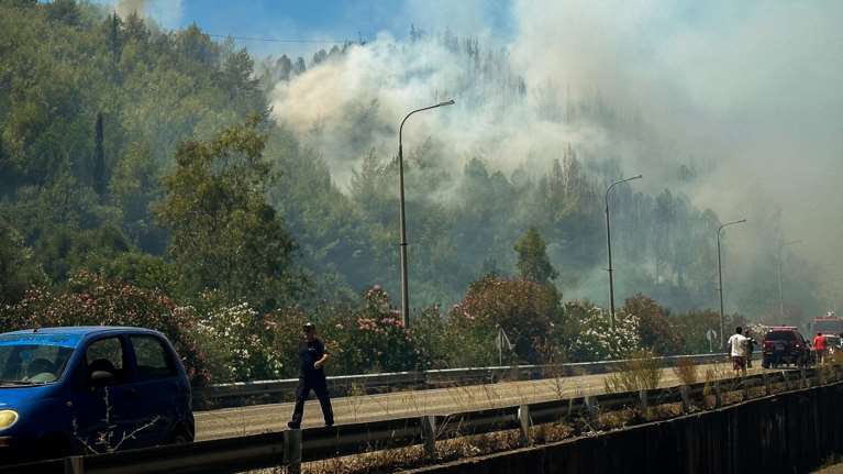 Φωτιά στην Ηλεία: Μία σύλληψη για απόπειρα εμπρησμού - Πώς σώθηκε η Αρχαία Ολυμπία