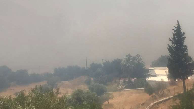 Μεγάλη φωτιά στην Κρύα Βρύση Ρεθύμνου: Ενισχύονται οι δυνάμεις - Μάχη με τις φλόγες και τον ισχυρό άνεμο [Εικόνες]