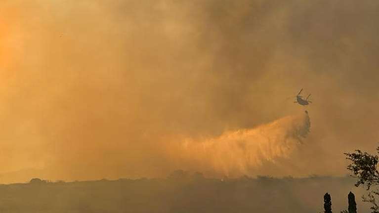 Φωτιά στην Άμφισσα: Οι φλόγες απειλούν την Ιτέα - Εκκενώνεται η βόρεια πλευρά της περιοχής - Πολλά τα μέτωπα [Εικόνες - Βίντεο]