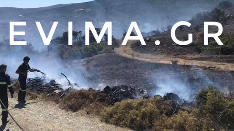 Νότια Εύβοια: Σε ύφεση η φωτιά στους Ραπταίους Καρύστου - Εκκενώθηκαν σπίτια [εικόνα]