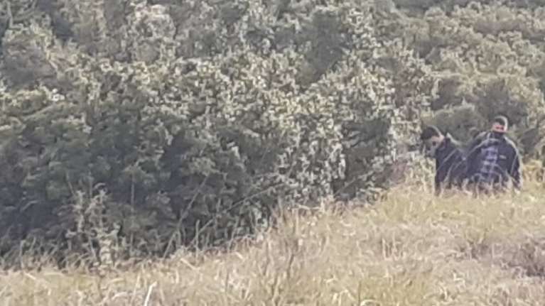 Εγκλημα στα Βίλια: Ταυτοποιήθηκε η νεκρή γυναίκα που βρέθηκε μέσα σε βαλίτσα - Τι έδειξε η νεκροψία