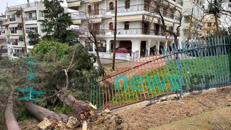 Θεσσαλονίκη: Ζημιές από τους ισχυρούς ανέμους - Δέντρα καταπλάκωσαν την είσοδο νηπιαγωγείου [εικόνες]