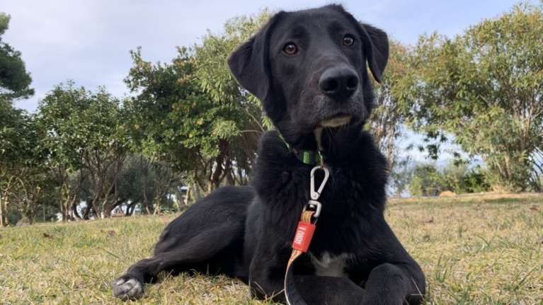 Mέσα στα αθώα μάτια του Τάι ζωγραφιζόταν όλος ο φόβος που βίωσε και όλη η ανασφάλεια για τη ζωή του