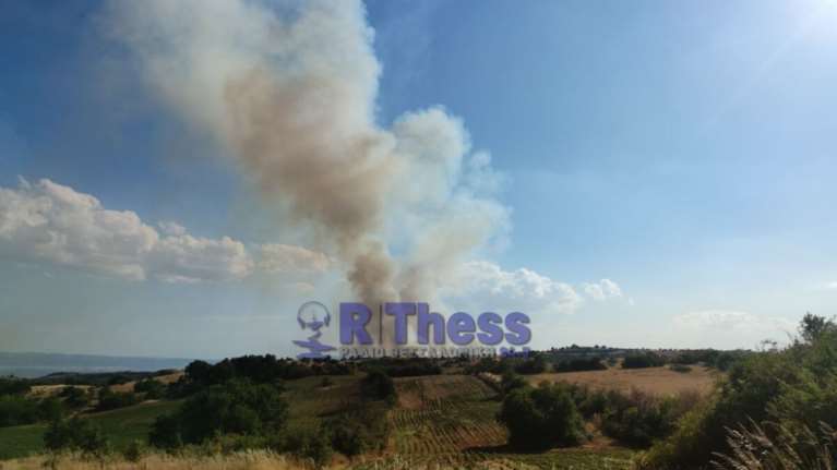 Φωτιά στην Άσσηρο Θεσσαλονίκης: Έφθασε στην παλιά εθνική οδό - Ενισχύθηκαν οι Πυροσβεστικές δυνάμεις