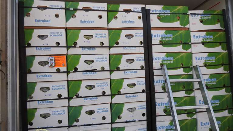 Φορτίο 34 κιλά κοκαΐνης σε πλοίο με... μπανάνες: Έκαναν και... delivery με κωδικό 6 στο 13033