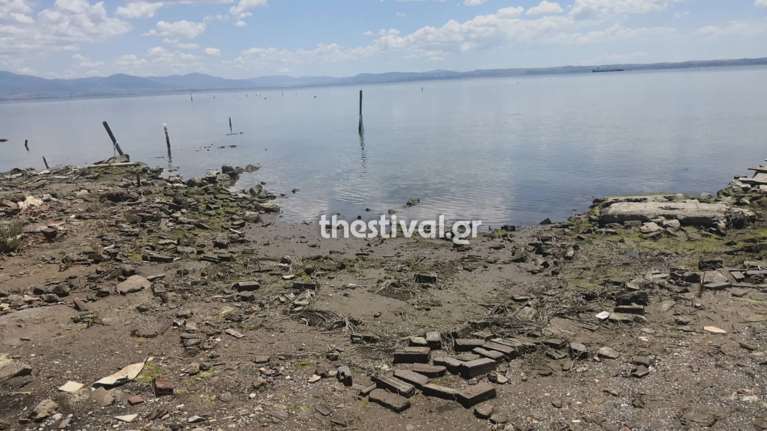 Θρίλερ στη Θεσσαλονίκη: Σε άντρα μέχρι 40 ετών ανήκει το ακέφαλο πτώμα - Τι γράφει τατουάζ στη σορό