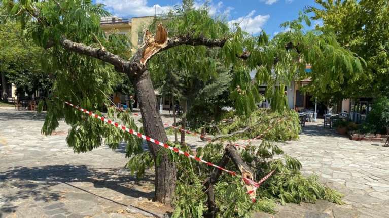 Πανικός στην Καλαμάτα: Ανεμοστρόβιλος χτύπησε την πλατεία Όθωνος - Τραυματίστηκε μια γυναίκα [Εικόνες, βίντεο]