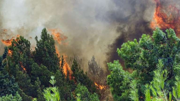 Φωτιά στο Βασιλίτσι Μεσσηνίας: Δύσκολη η νύχτα - Επιχειρούν πλέον μόνο επίγειες δυνάμεις [βίντεο]
