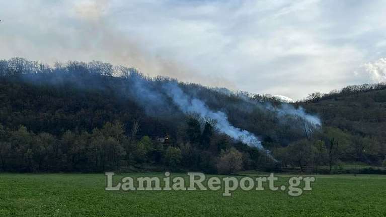 Φθιώτιδα: Υπό έλεγχο και οι έξι φωτιές – Οι πέντε σε δασική έκταση