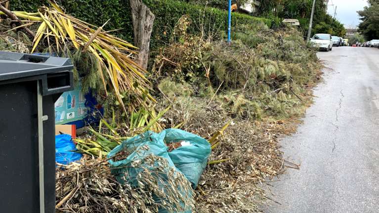 Κακοκαιρία Μήδεια: 1,5 μήνα μετά ο δήμος Κηφισιάς δεν έχει ακόμη μαζέψει τα κλαδιά από τους δρόμους [εικόνες]