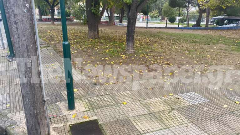 Σοκ στον Βόλο: Νεκρή 60χρονη σε πάρκο - Τρέκλιζε, αλλά αρνιόταν τη βοήθεια των περαστικών