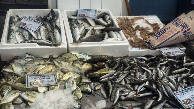 Απλησίαστα τα ψάρια: Σαρδέλα σε τιμή... καραβίδας - Πού κυμαίνονται σε ψαραγορά και σούπερ μάρκετ