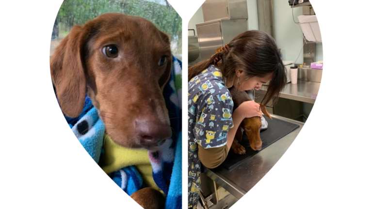 Λένε πως η ψυχή ζυγίζει 21 γραμμάρια -  Πόσο όμως αξίζει μια δεύτερη ευκαιρία στη ζωή; Μόνο θετική ενέργεια για τη Νίκη