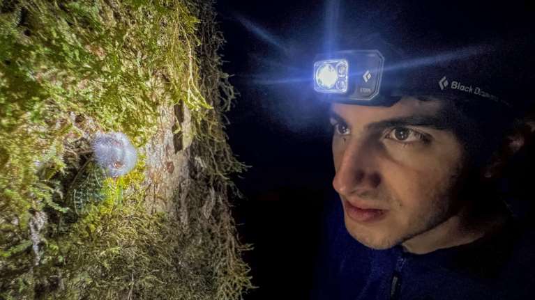 Λεωνίδας Ρωμανός Νταβράνογλου: Ο Ελληνας που συνέβαλε στον εντοπισμό της έχιδνας του Ατένμπορο