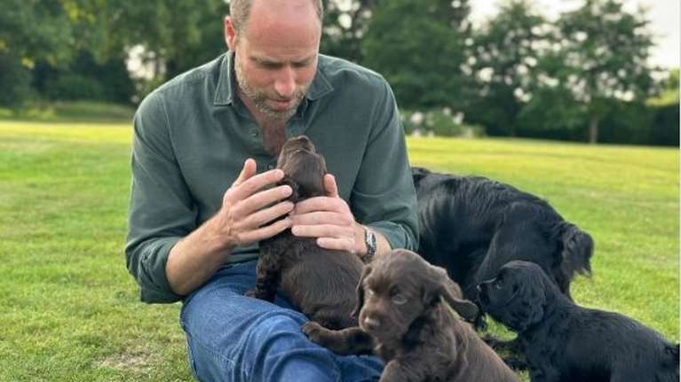 Ο πρίγκιπας Ουίλιαμ γιόρτασε τα γενέθλια του αγκαλιά με τα κουτάβια του - Η τρυφερή φωτογραφία με την Ορλα και τα μωρά