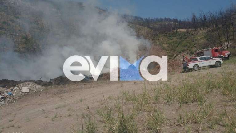 Φωτιά στην Εύβοια: Ισχυροί άνεμοι πνέουν στην περιοχή [Εικόνες]