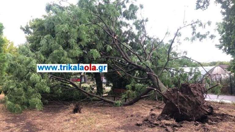 Τρίκαλα: Ισχυρό μπουρίνι σάρωσε την πόλη - Πλημμύρισαν δρόμοι, ξεριζώθηκαν δέντρα [Εικόνες - Βίντεο]