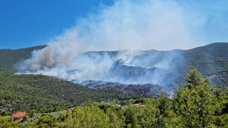 Οριοθετήθηκε η φωτιά στη Μεγαλόπολη Αρκαδίας, στην περιοχή Ρούτσιο