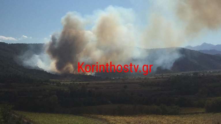 Φωτιά στο Καίσαρι Κορινθίας: Επιτόπου ισχυρές επίγειες και εναέριες δυνάμεις της Πυροσβεστικής [Εικόνες]