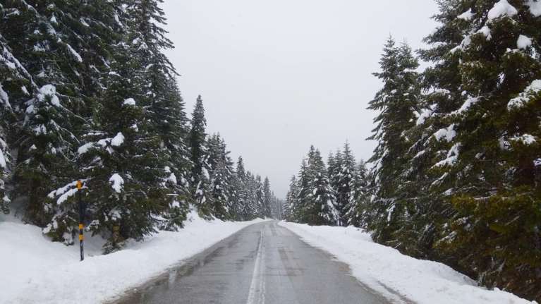 Απίστευτο: Στα λευκά ξύπνησαν Ελάτη και Περτούλι